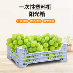 一次性水果葡萄筐塑料筐镂空白筐草莓杨梅蔬菜运输周转胶筐收纳