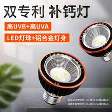 绿伴UVB节能灯爬虫日灯补钙灯UVA灯UVB10.0灯220v【新品上市特惠