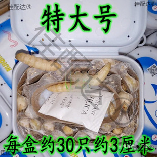 �������x�����x���x ���x �����x���w�����B��ʳ�B��Ϟ�����x