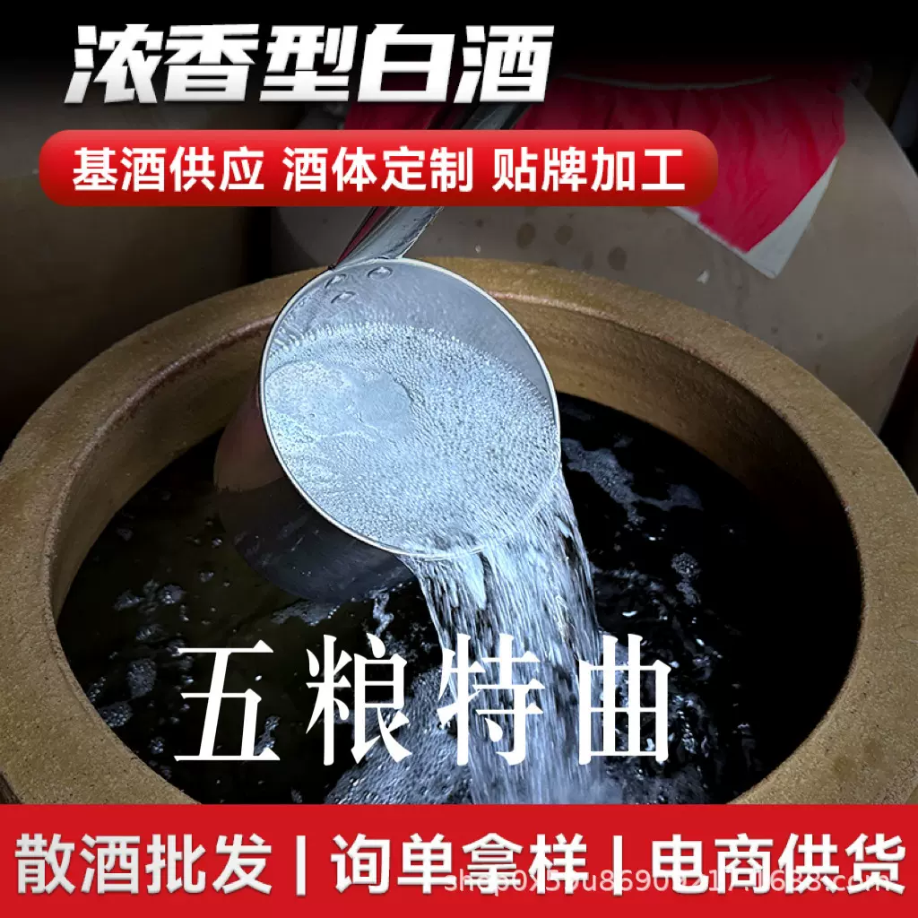 散酒 五粮特曲 白酒批发 货源供应 纯粮酿造浓香型白酒 粮食酒