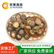 ���S���l���xʳ�þ������_�o���oѬ�����С�㹽��؛