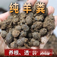 ����S���w���ЙC�l�͸�����S���B���N�ˠI�B���r�ҷ�ͨ�ßo��ζ