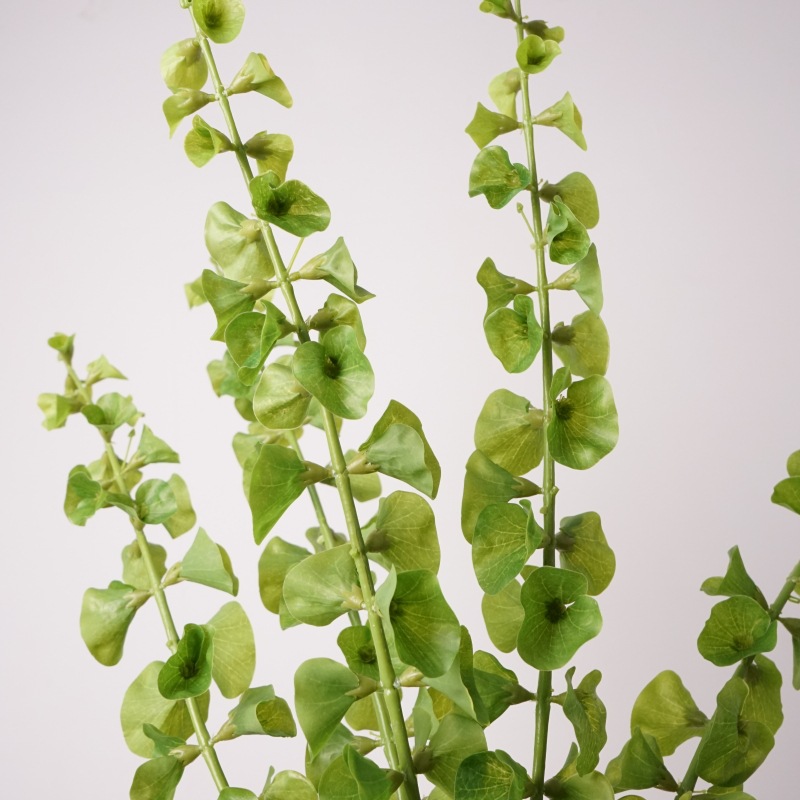 Shell Flower Artificial Flower High Quality Hand-Feel Artificial Flower Single Wedding Home Decoration Flower Arrangement Plant Green Plant Ornaments