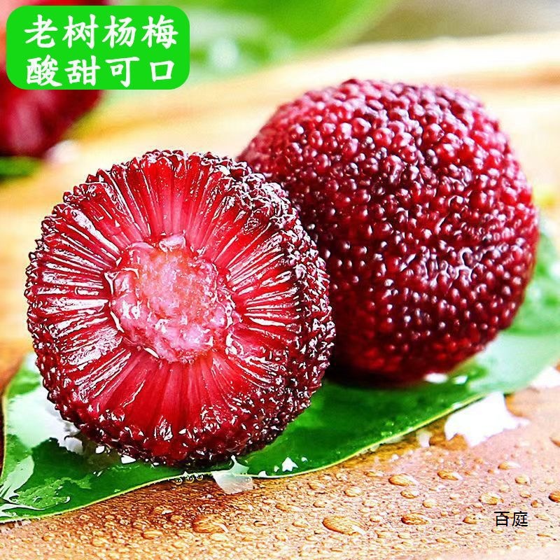 杨梅新鲜现摘应季孕妇水果大早梅荸荠东魁梅泡酒工厂代发跨境
