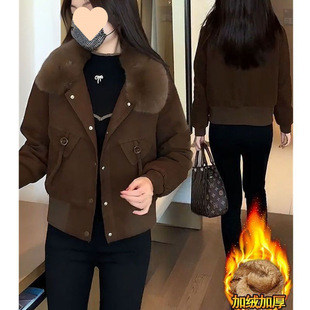��ů������2025�ﶬ���¿�ӽq�Ӻ�����Ů�bë�I�ɲ�ж�޷�