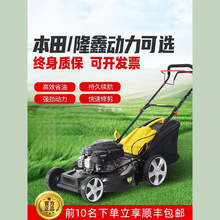 汽油割草机本田草坪修剪机自走推草机果园除草机打草机手推剪草机