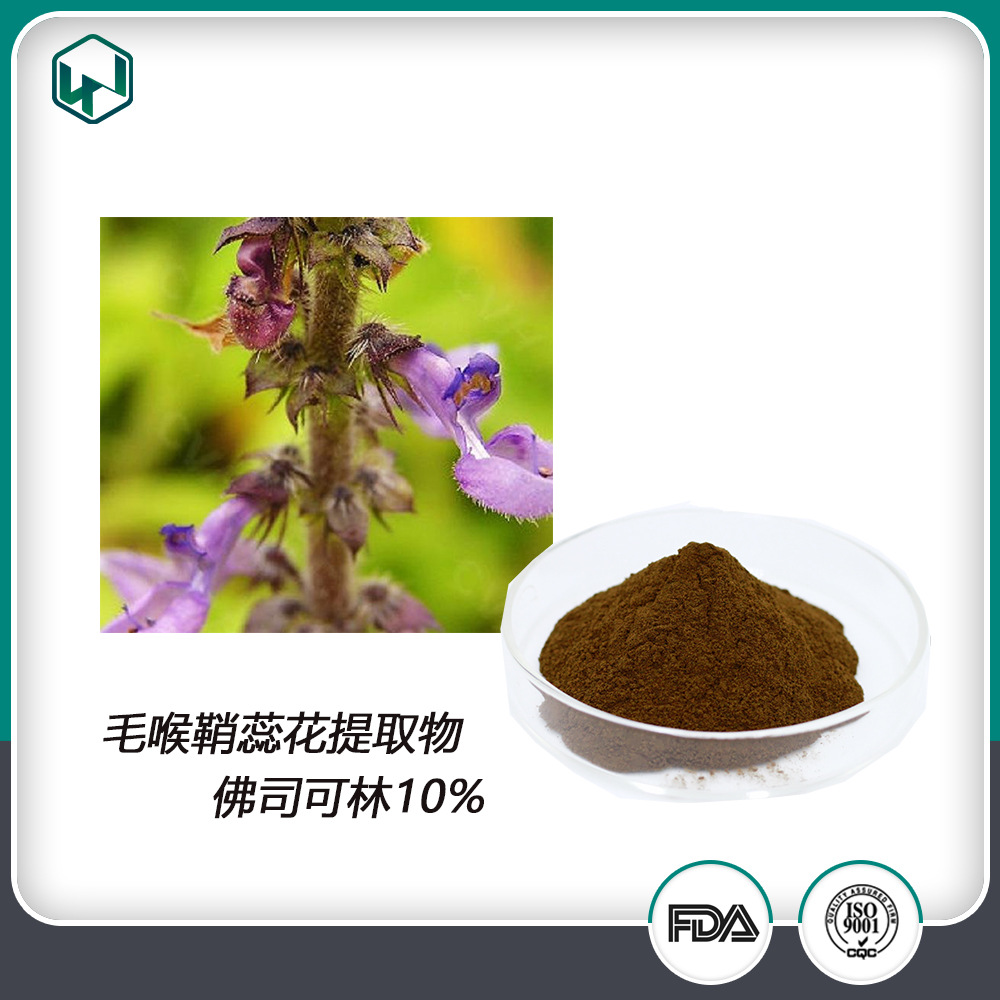 毛喉鞘蕊花提取物  佛司可林10%保健品原料粉 现货供应欢迎采购