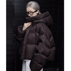 短款棉服女2025冬季新款宽松显瘦面包服设计高级感连帽棉衣外套