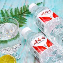 娃哈哈纯净水350ml小瓶装家庭酒店版哇哈哈矿泉水整箱包邮批