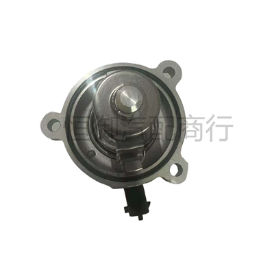 of the Tiggo – Thermostat
