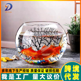 Hydroponic plant glass ecological fish tank green flower pot office desktop thickened fish tank transparent ware vase wholesale