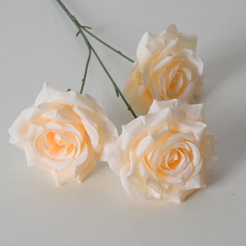 3 heads diamond rose champagne color