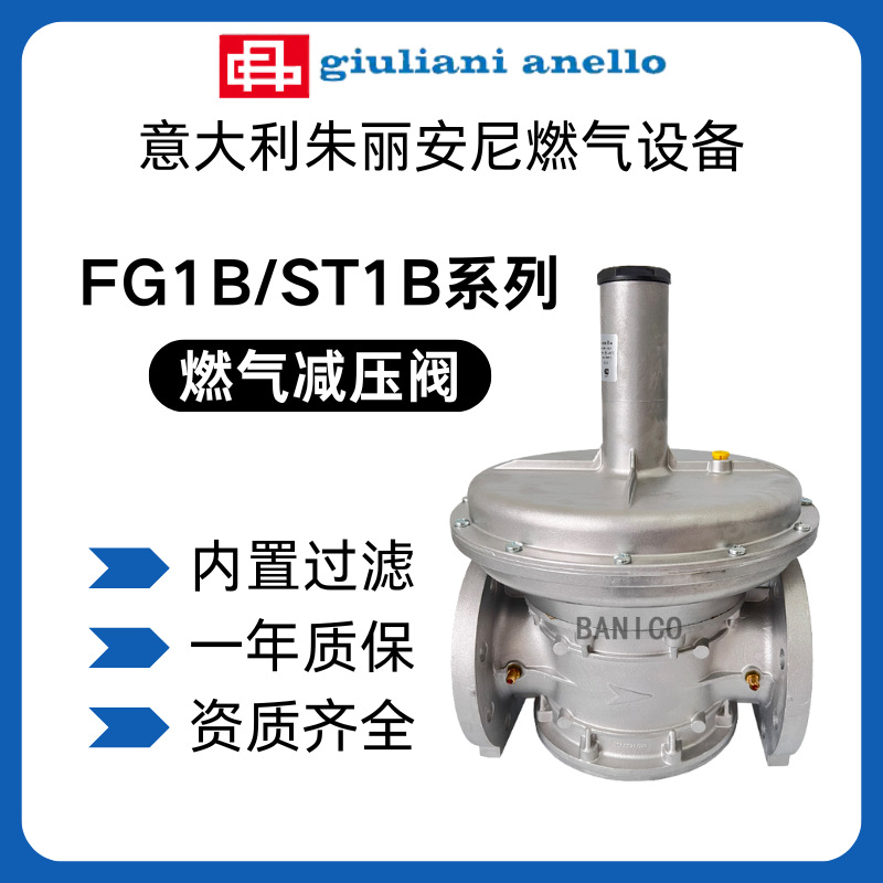 原装意大利天然气调压阀稳压阀FG1B15 FG1B20 FG1B25燃气减压阀