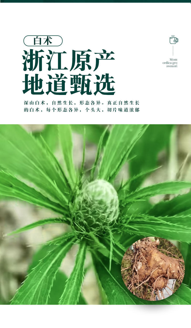 White Atractylodes Rhizome Bai Zhu 500g Stir-Fried Sliced Zhejiang Atractylodes macrocephala for Decoction key features