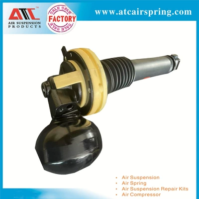 Shock Absorber Assembly, damping system