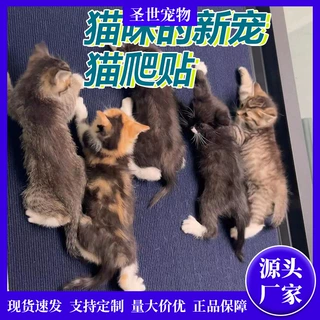猫爬垫耐抓不掉屑防猫抓保护沙发宠物垫用品贴墙自粘垫子批发猫咪