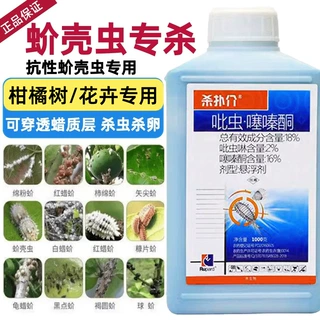 18%吡虫啉噻嗪酮农药介壳虫吡虫噻嗪酮杀虫果树农作物微毒安全