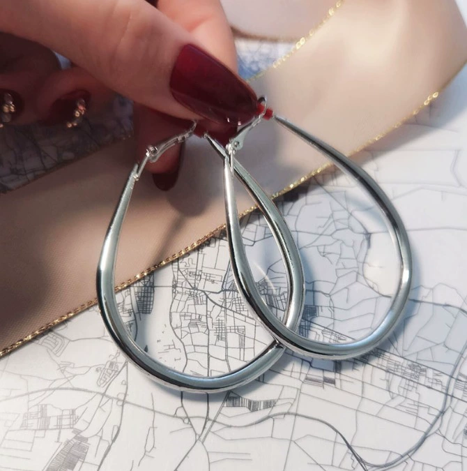 Silver 925 Earrings — Light Luxury Hoops & Drops, High-Quality Sterling, Multiple Sizes