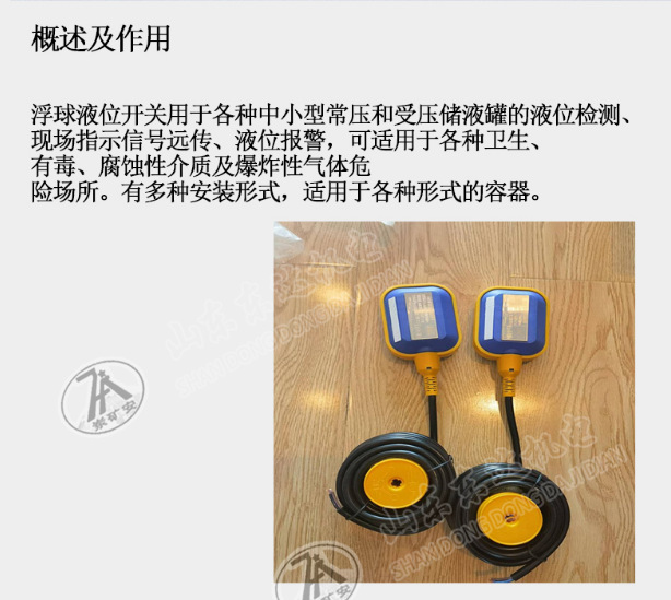 矿用浮球开关 (2)