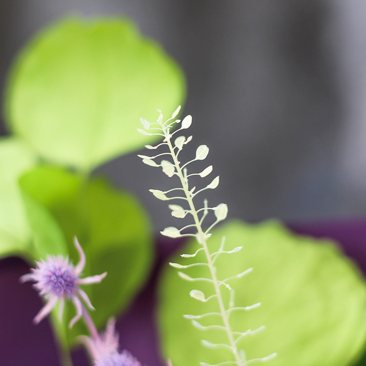 Flor inmortal diseño de ramo de flores, producción de flores de rosas, flores de rosa, regalos de alto nivel para la novia del día de San Valentín
