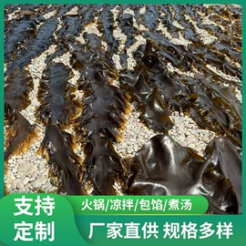 水产干货类;贝类;干品/即食海参