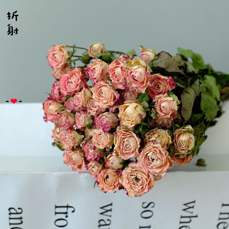 雲南昆明直発多頭バラの花の単頭バラの花の花束バラの泡飾りメーカーの卸売り|undefined