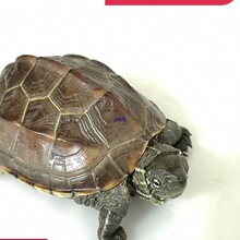 �������w ���A������������С�^�p��ˮ���������������������]