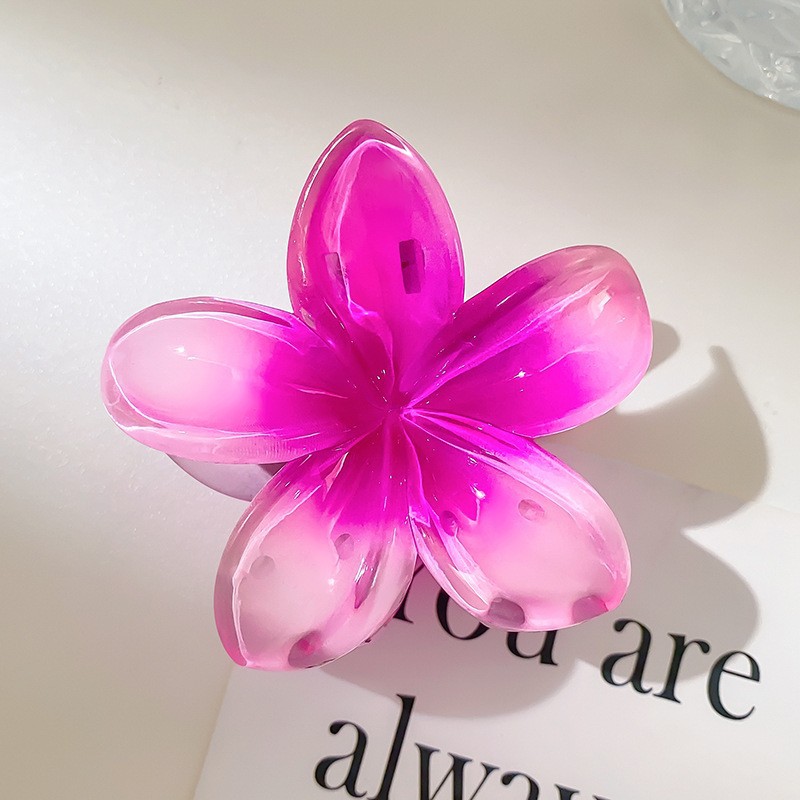 Simple flor grande clip de pelo femenino verano temperamento espalda Cabeza pelo agarre elegante updo pelo clip tocado horquilla accesorios para el cabello image 19
