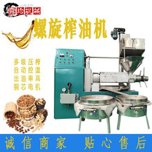 商业用大型压榨机工厂全自动冷榨热榨食用油炸油机一套设备多少钱