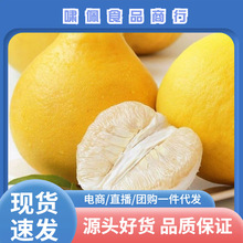 广东梅州沙田柚金柚小白心柚包邮当季新鲜水果白心柚子一件代发