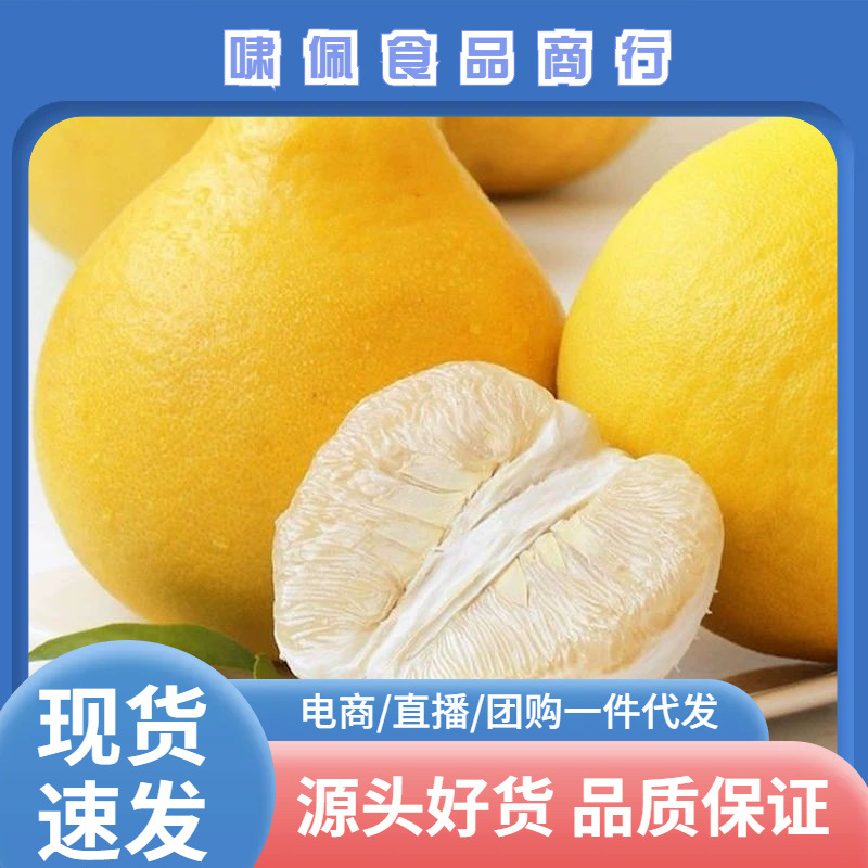 广东梅州沙田柚金柚小白心柚包邮当季新鲜水果白心柚子一件代发