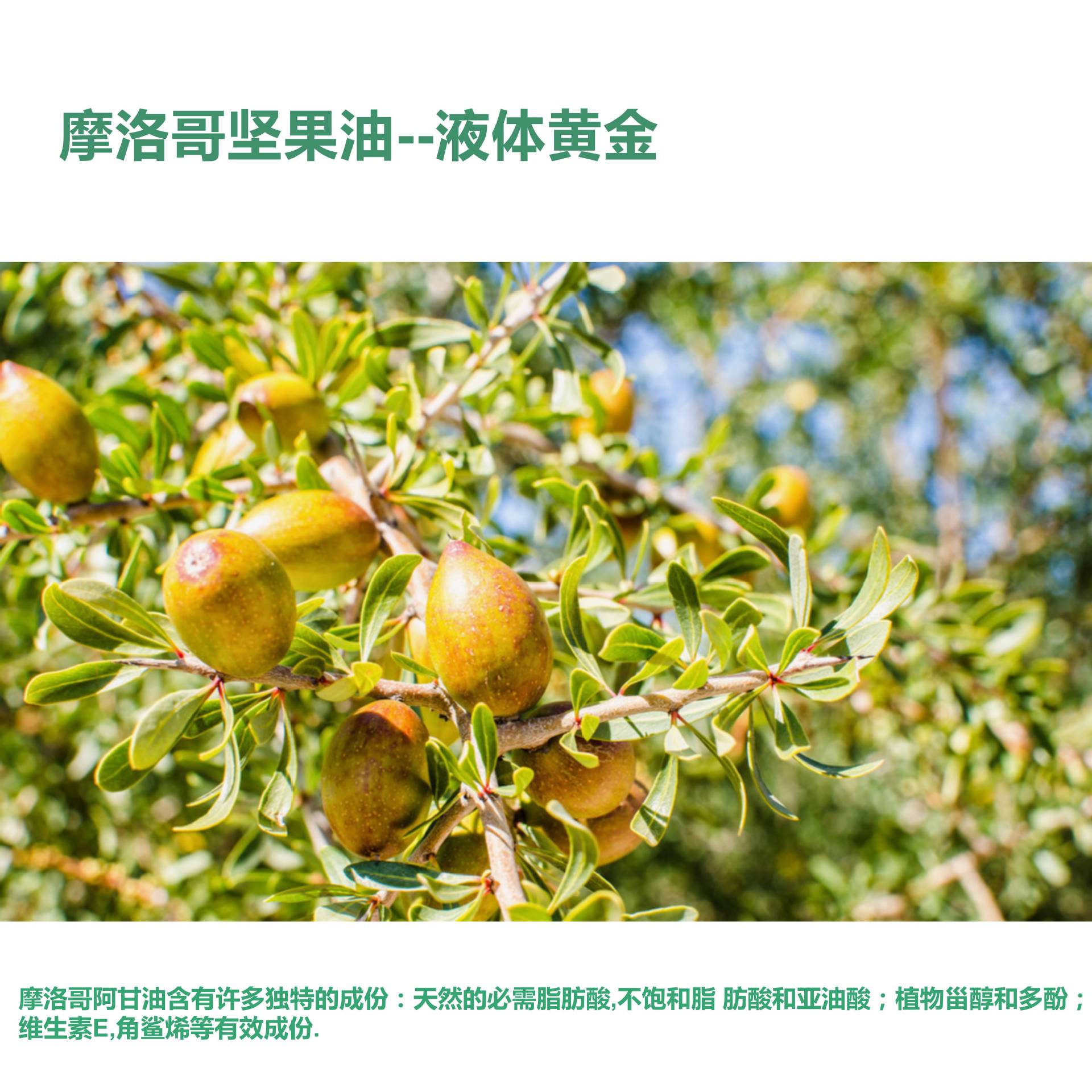 Xufan Skincare Massage luo Brother Nut Oil argan Hair care essential oil A glycerol Base Oil Hairdressing Hair care Separable