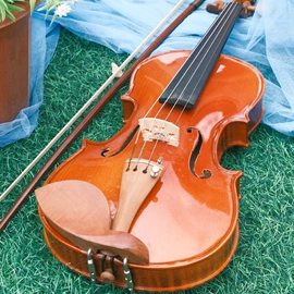 拉弦类乐器;其他乐器;弹拨类乐器