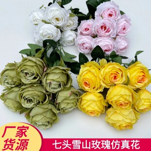 7�^ѩɽõ����õ�廨�zӰ���߻�Y��·�������廨�ٻ��b�����