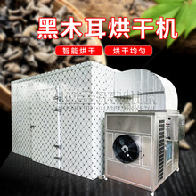 电加热食用菌羊肚菌烘干机 全自动商用香菇烘干箱 黑木耳烘干机