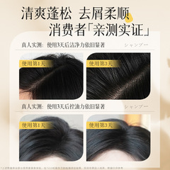 Hollywood Amino Acid Oil Control Anti-Dandruff Softening Repair Perfume Shampoo French Aroma Shower Gel Set Wholesale