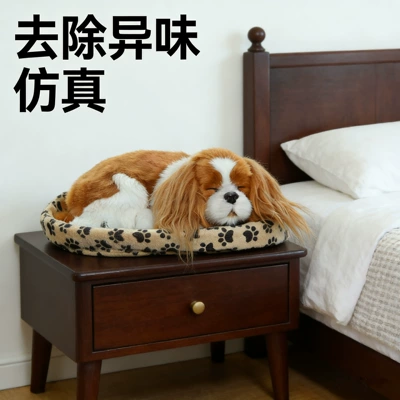 for Home Use, Aktiv kömürlü qoxu uducular