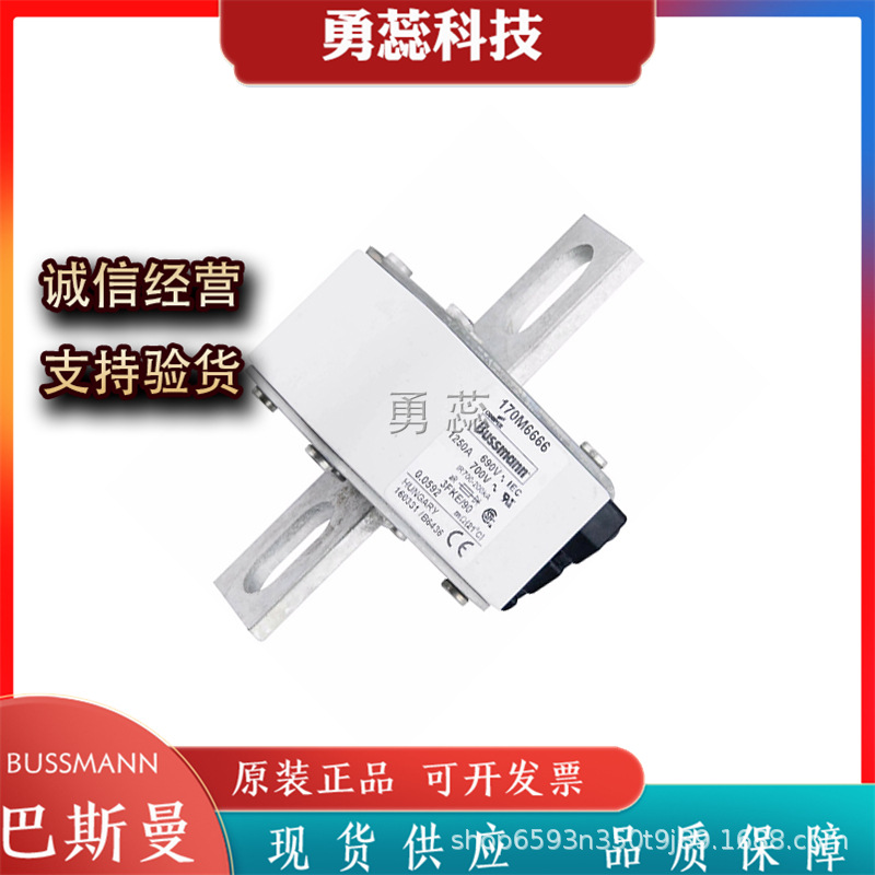 保险丝熔断器     170M6666     170M6667     170M6668