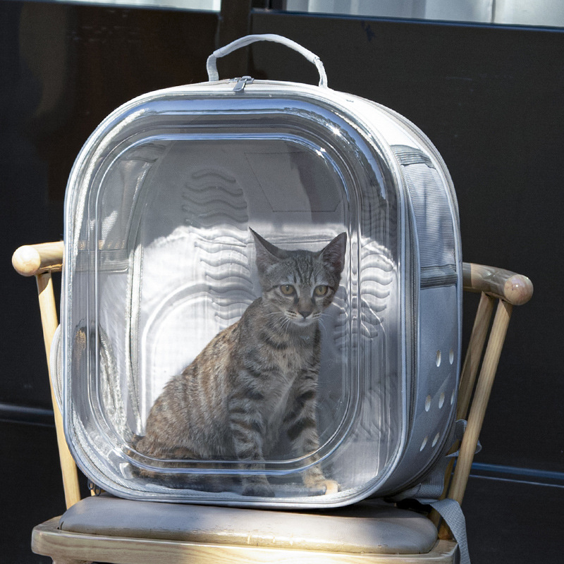 Mochila Transparente para Mascotas de PVC, Transpirable, para Salidas de Mascotas