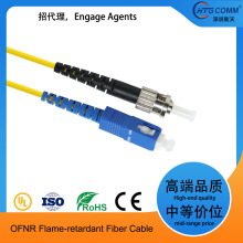 ���ڳ��ڼ����w����SC���^�DST�����͆�ģ��оLSZH��ȼ���|2��