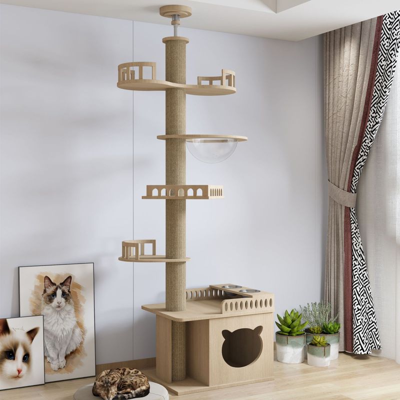 猫は天柱の一体型の猫の木の猫の巣を登ります。|undefined