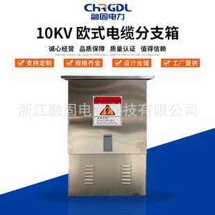 �F؛���׸߉����⌦�ӷֽ��䲻�P䓷�ˮ�^���Wʽ10KV ��|��֧��