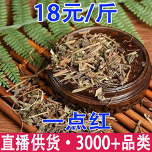 һ�c�t �~�¼t ����� �t���~ �t�~�����l���l