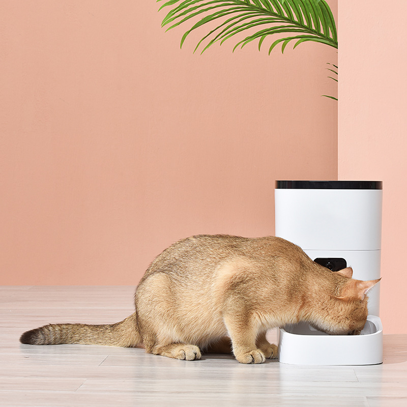 嘟嘟新款6L宠物喂食器升级版智能远程投食视频版猫咪狗定时投食器