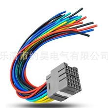 【跨境专供】25孔汽车线束  美区供应AMZ爆款汽车线束DJ7251-2.2-
