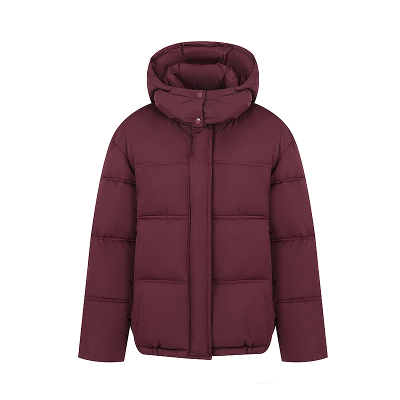2025 nueva ropa de pan de invierno corto nuevo encapuchado grueso suelto ropa de pan abrigo de algodón nuevo algodón