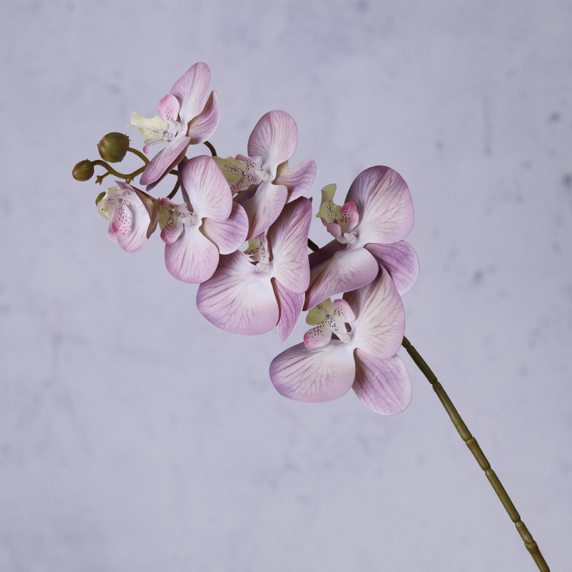 Impresión 3D de 7 cabezas de orquídeas mariposa flor de decoración de flores de alto nivel flor de nicho decoración floral decoración de sala de estar