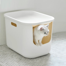 I �۱�ϩ ���w؈ɰ�� ������ ؈���� �̨ pp����]