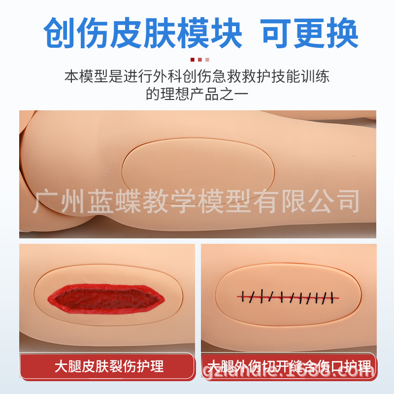 ȫ���ܴ��˻�����ģ��ֹѪ���Ȱ���ѵ��ϰ��������ģ�����