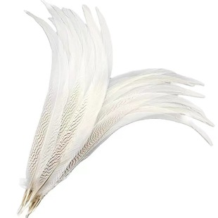 �S�ҹ����y�uβ��ë 15-20cm��g����ëҰ�uë ��̨�b��b���